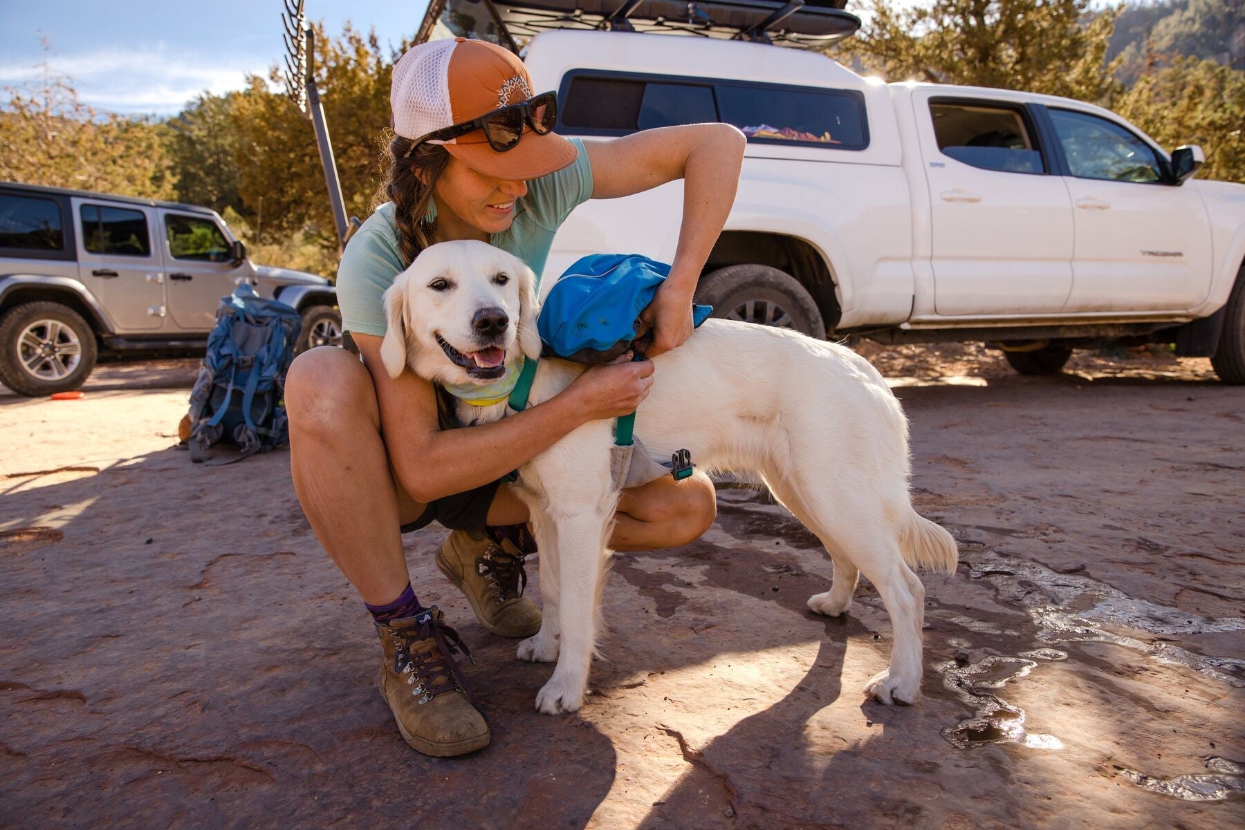 Approach™ Pack (Ruffwear) - SnowPaw Store - Ruffwear - Active Dog Gear